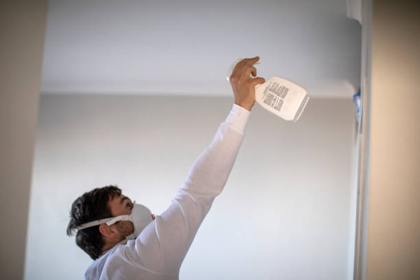 Best Insurance-Related Mold Remediation in Woodbridge, VA