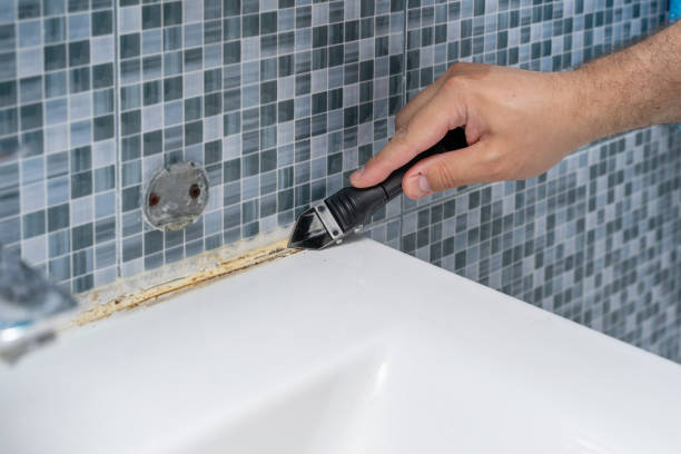 Best Emergency Mold Remediation in Woodbridge, VA