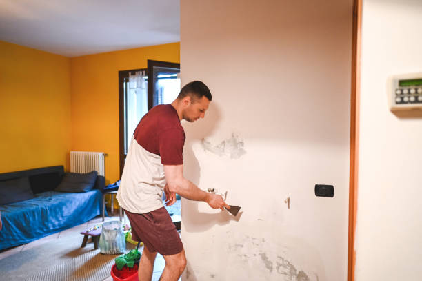 Best Residential Mold Remediation in Woodbridge, VA