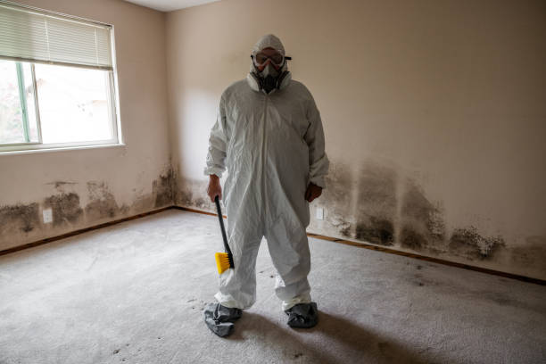 Best Bathroom Mold Remediation in Woodbridge, VA
